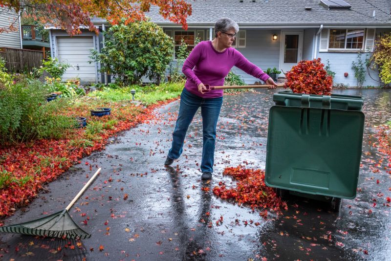 Clean Yard in Autumn